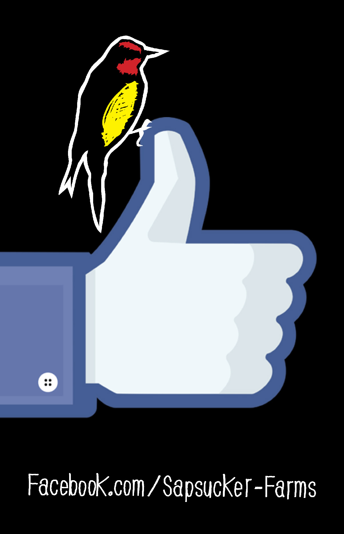yellowbellyfb
